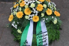schuetzenfest_2010_1_20140129_1864258320