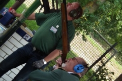 djt11-galerie4_29_20140131_1513844781