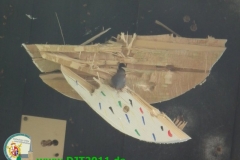 djt11-galerie4_62_20140131_1697915580