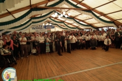 djt11-galerie5_15_20140131_1790217526