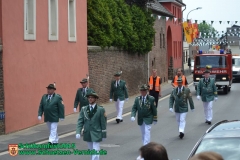 schuetzenfest_galerie_2_24_20150721_2093131337