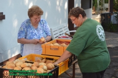 schuetzenfest_galerie_3_17_20150721_1550138277