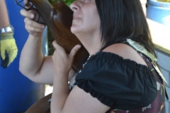 schuetzenfest_galerie_3_34_20150721_1847977710